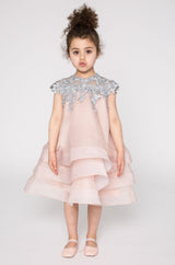 Lace and multi layer organza dress