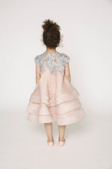 Lace and multi layer organza dress