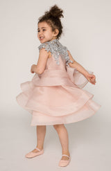 Lace and multi layer organza dress