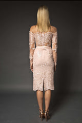 lace embellished dress