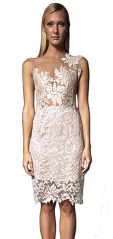 Gold lace sheer dress