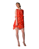 Ruby Shift Dress