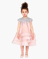 Rosa Little Girls Dress